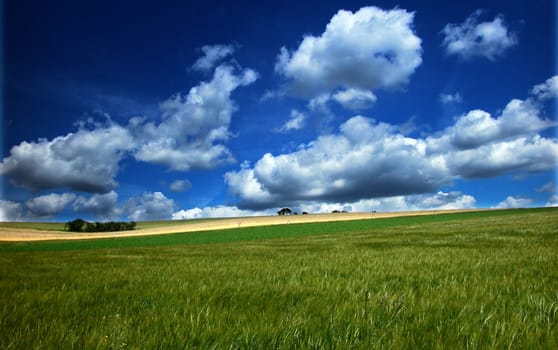 Pure nature