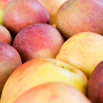 Apple crate