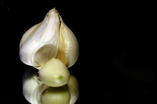 garlic