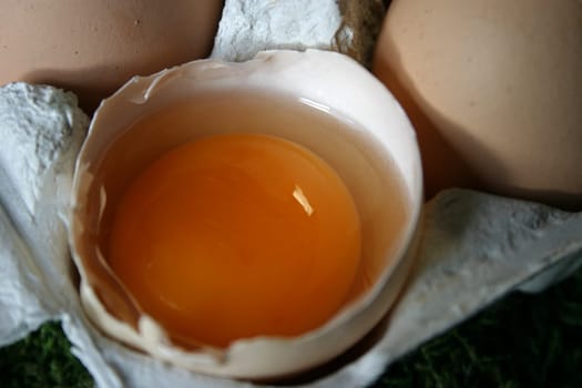 Raw egg in an egg carton