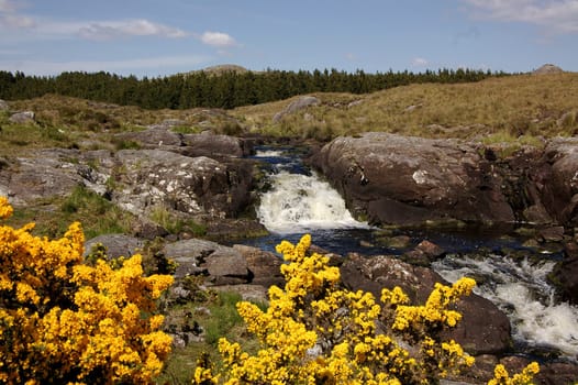 Connemara