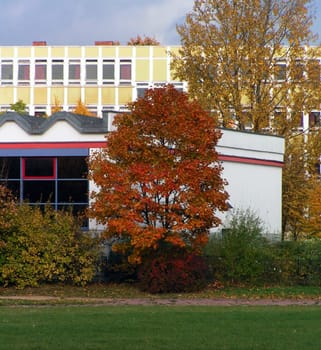 Autumn colors