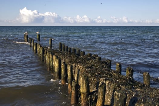 Baltic Sea near Ahrenshoop,Fischland/Darß