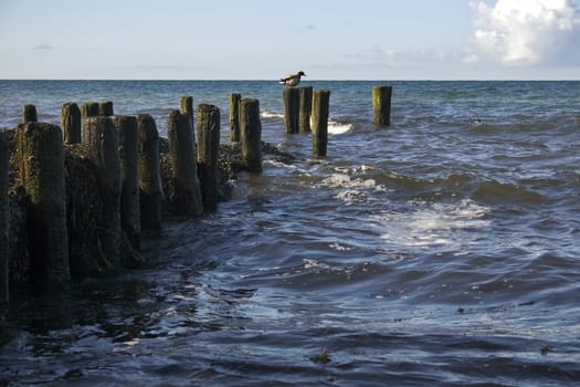 Baltic Sea near Ahrenshoop,Fischland/Darß