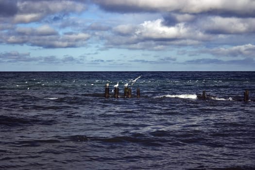 Baltic Sea near Ahrenshoop,Fischland/Darß