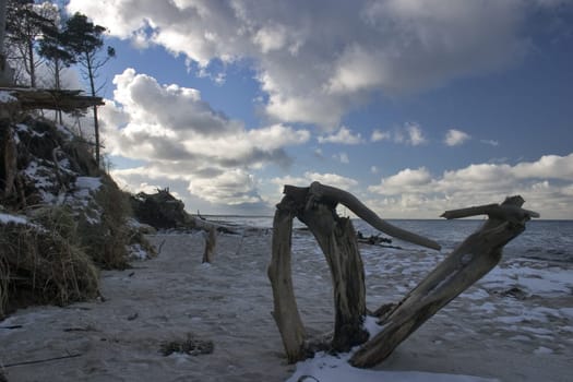 Baltic Sea beach near Ahrenshoop,Fischland/Darß