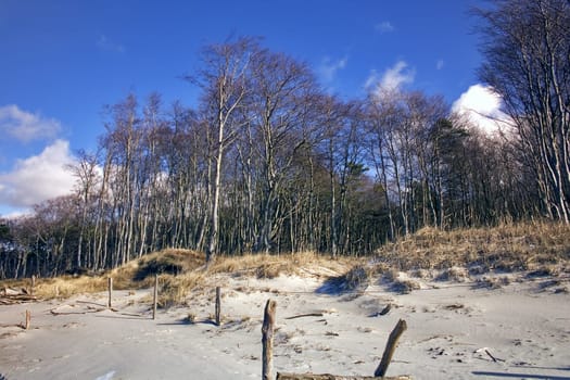 Baltic Sea beach near Ahrenshoop,Fischland/Darß