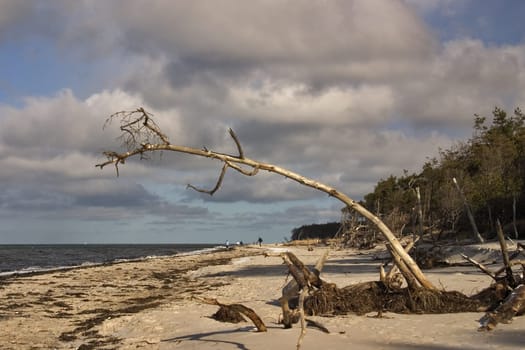 Baltic Sea near Ahrenshoop,Fischland/Darß