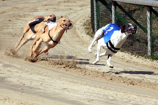 Full Speed