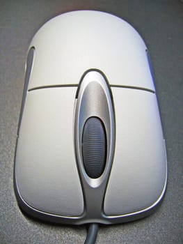 Mouse