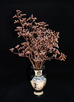 Shrub