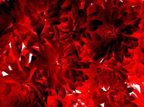 Bloodflowers