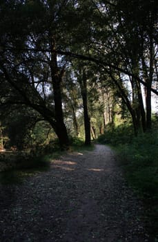 The Way 2