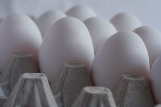 Egg Parade