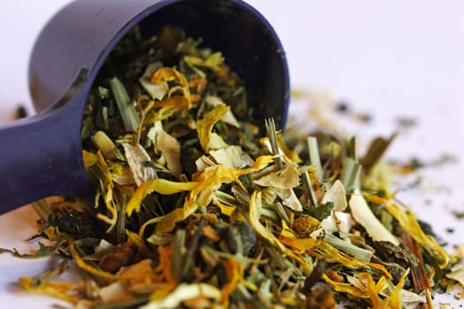 Tea herbs