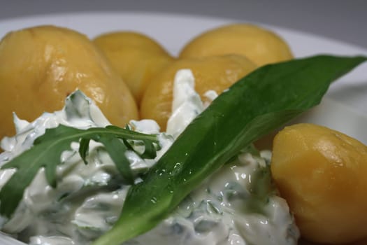 Herb Curd III