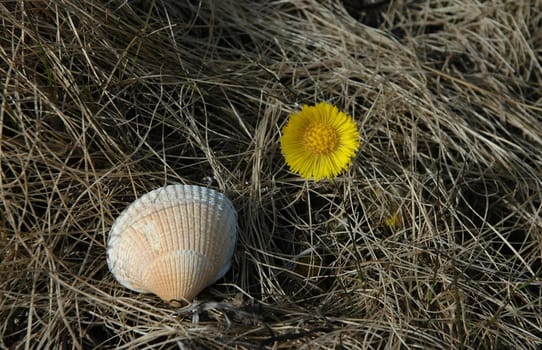 What else might be hidden under the straw? I don't know. In any case,I would like to wish you all a few sunny,relaxing Easter days with this picture!