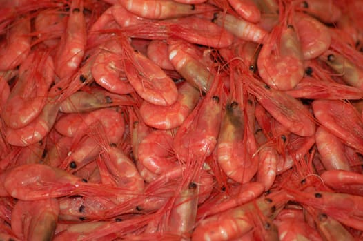 The men did not do without them in the evening. Freshly caught!