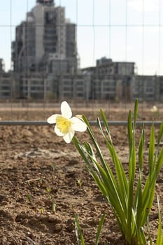 Spring at the construction site