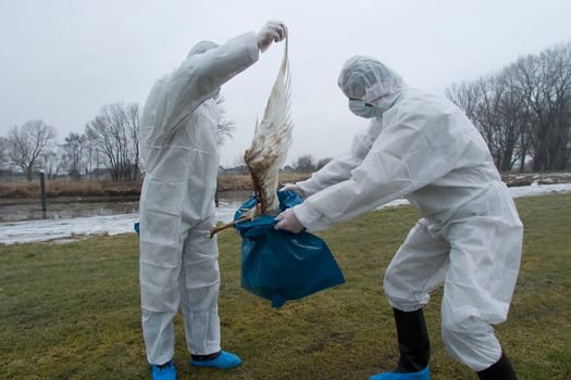 Avian influenza