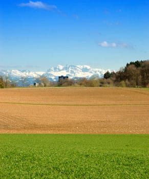Taken yesterday during a walk. The mountains seemed like a wall at the other end of the city...