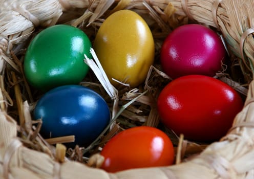 Eggs