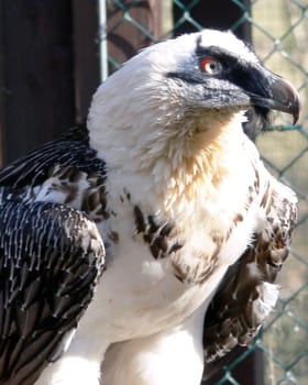 Walsrode Bird Park