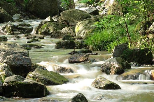 Gorge of the Ninglinspo in the Belgian Ardennes