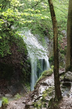 The gorge of the Ninglinspo in the Ardennes