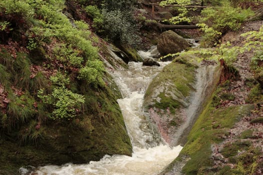 Ninglinspo,Eifel,Ardennes