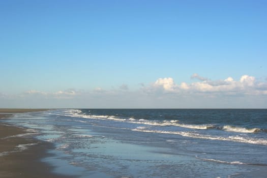 Surf