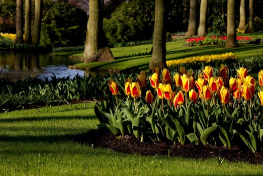 Splashes of color