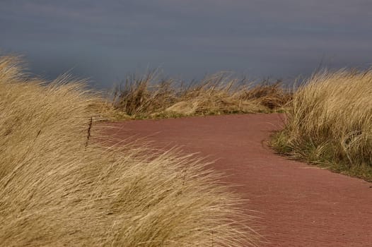 The way