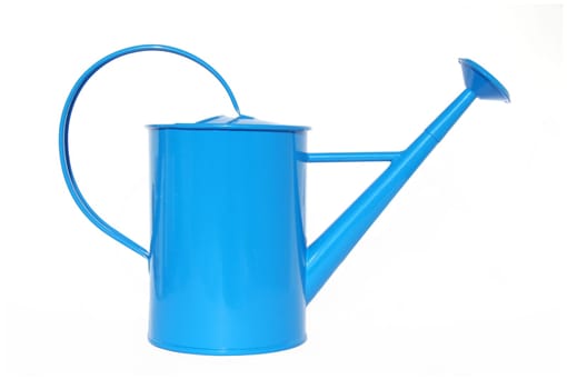 Blue jug