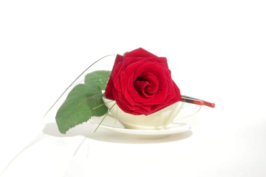 Rose 2 Eat