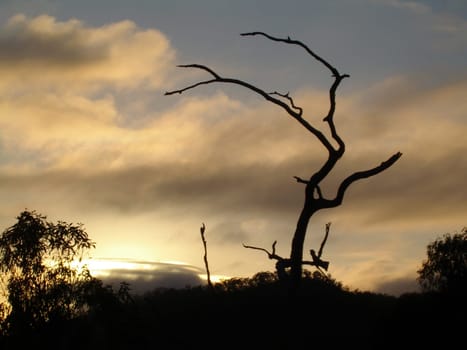 sunset or (sunset beach) or (sunset nature) or (sunset skyline)