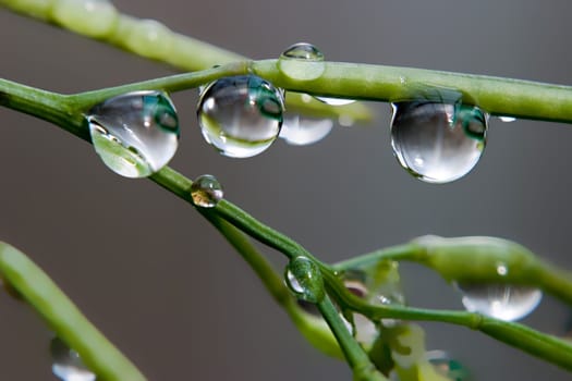 Waterdrop