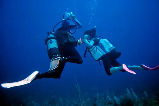 Diving apprenticeship and students in training. Exercise shown here: remove the mask under water,put it back on and blow out the water with your nose. Cayo Largo,Cuba