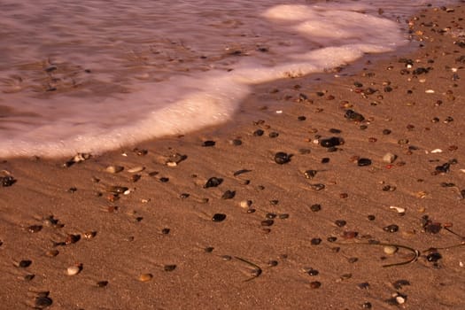 Baltic Sea beach