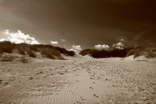 Dune
