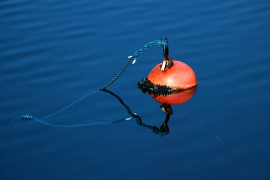Anchored