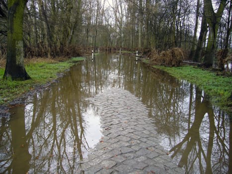 Flood