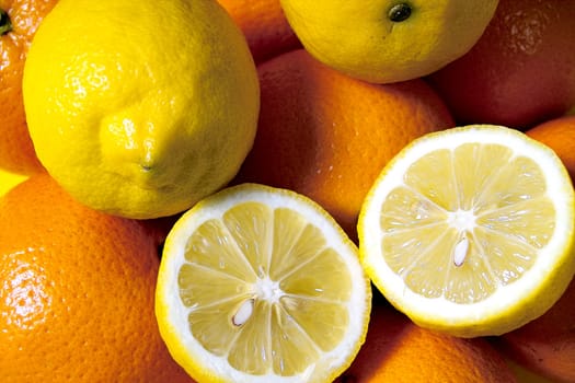 Citrus fruits