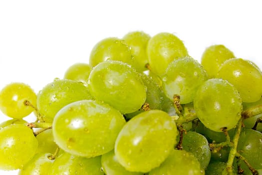 Grapes