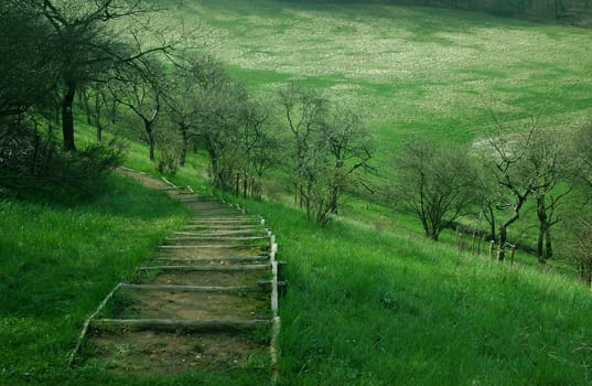 Green Zone