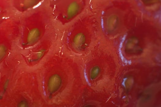 Macro of a strawberry skin. Created with old EF 28 - 55,turned around  -)