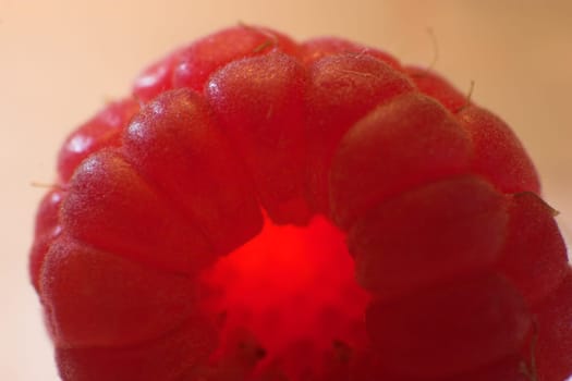 Portrait of a Heavenly Berry
