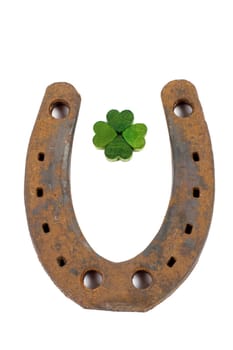 Horseshoe and shamrock isolated on white background