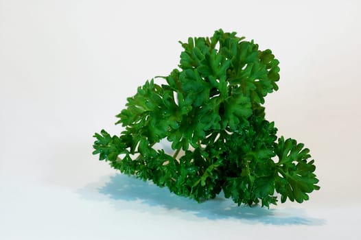 Parsley