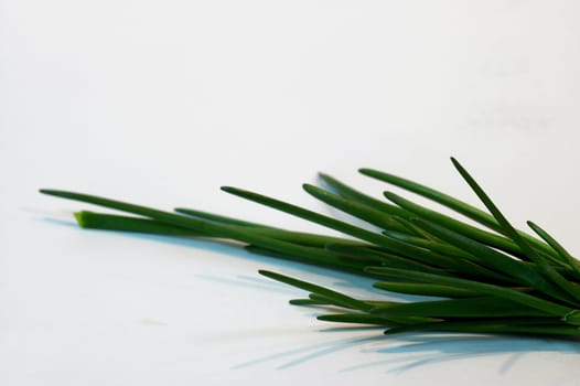 Chives